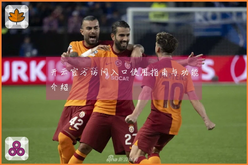 开云官方访问入口使用指南与功能介绍