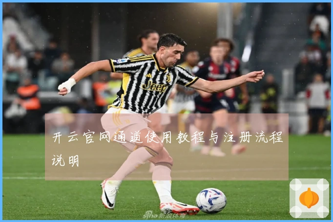 开云官网通道使用教程与注册流程说明