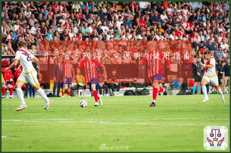 开云官方网站入口说明与使用指南